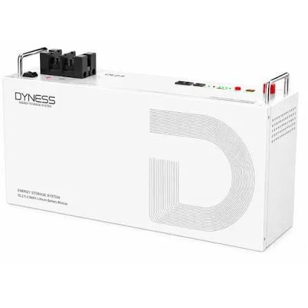 بطارية ليثيوم Dyness 2.56kw 24V DL2.5